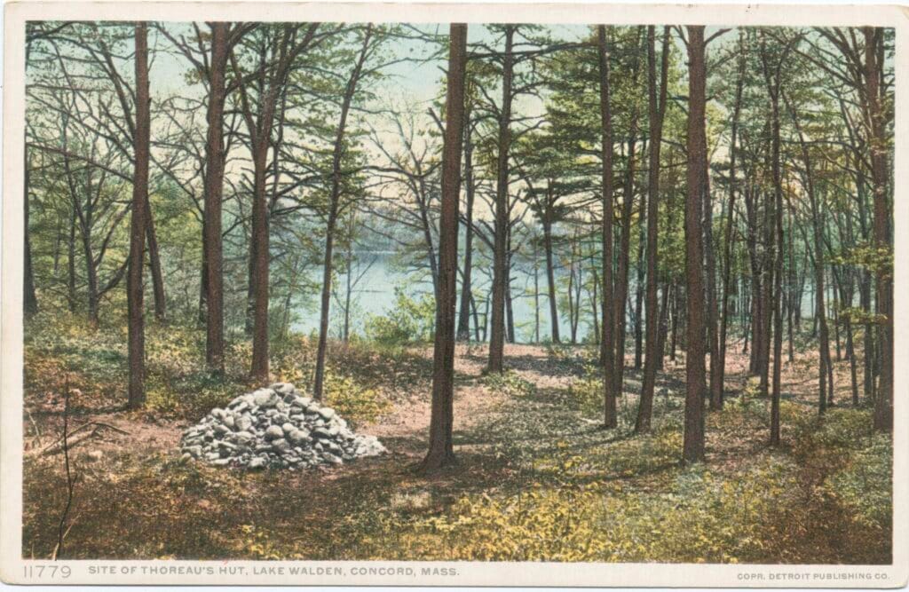 Cairn of stones marking the site of Thoreau's cabin among tall pines at Walden Pond, in a hand-colored postcard view