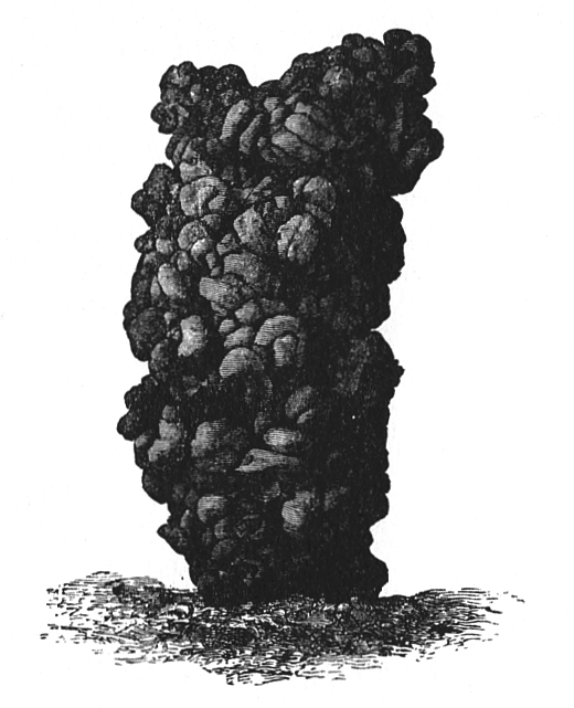 Nineteenth-century engraving of a tall, tower-shaped earthworm casting made of coiled earth